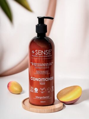 CONDITIONER SPECIAL REPAIR MANGOSANTAL X 500 ML