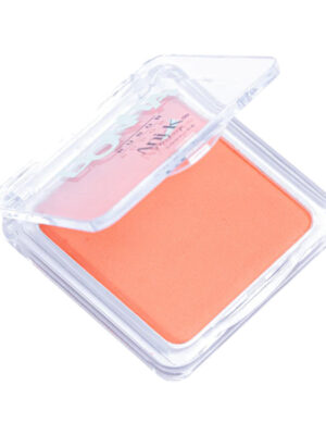 RUBOR BONITA 01 TAYLOR