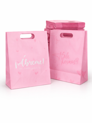 BOLSA DE REGALO ROSADA GRANDE