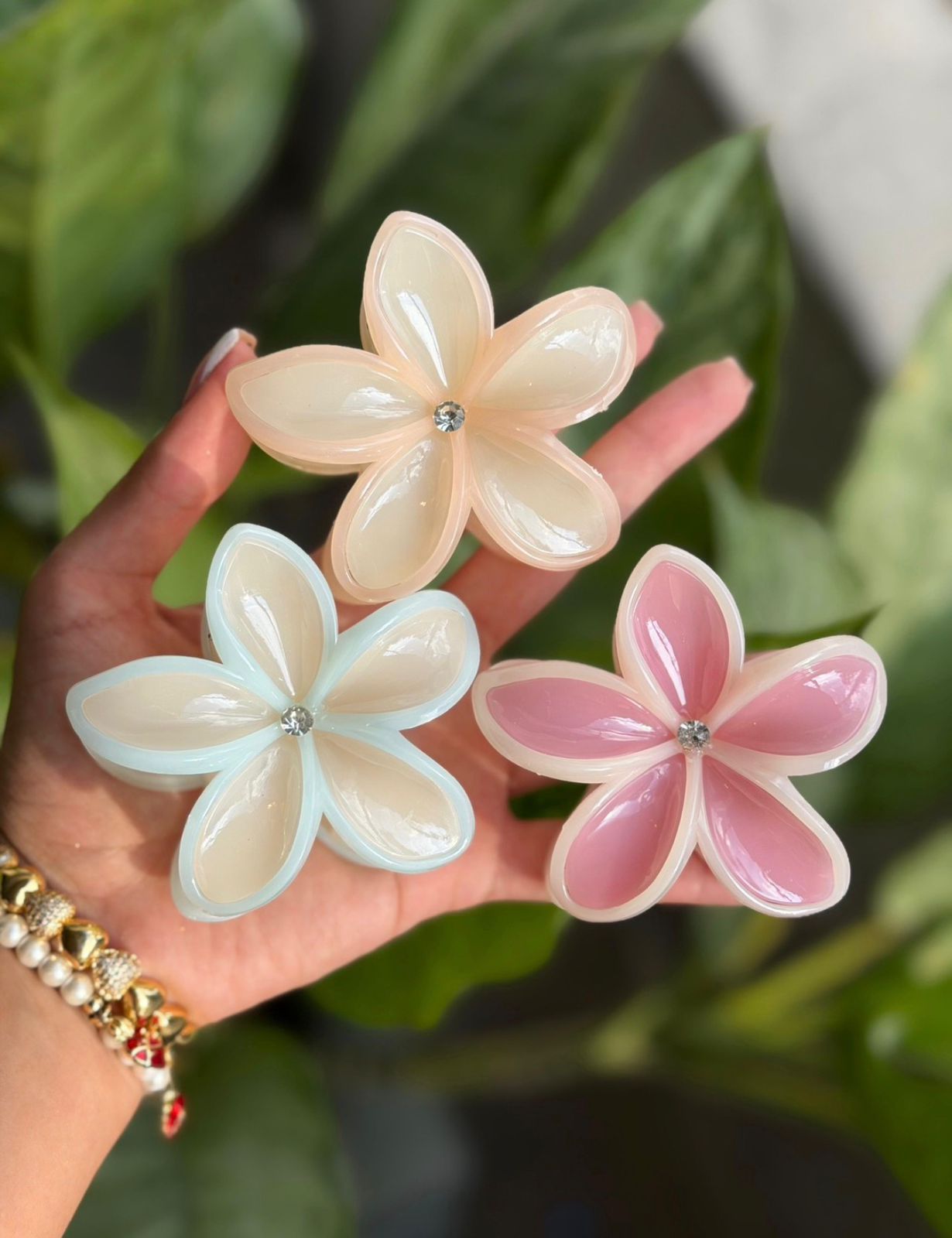 CAIMÁN FLOR MAGNOLIA DULCE - Image 3