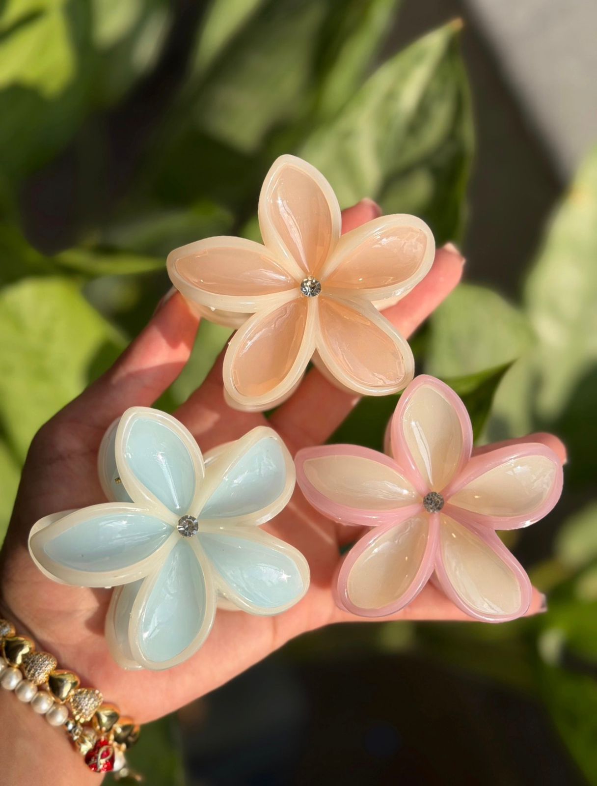 CAIMÁN FLOR MAGNOLIA DULCE - Image 2