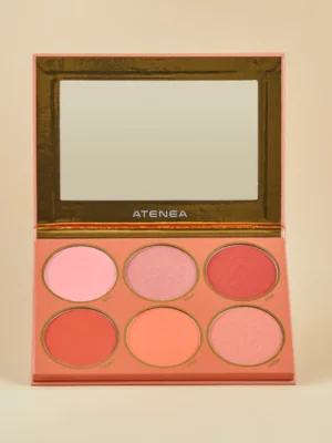 PALETA DE RUBORES ATEMPORAL | MAKEUP EXPERT