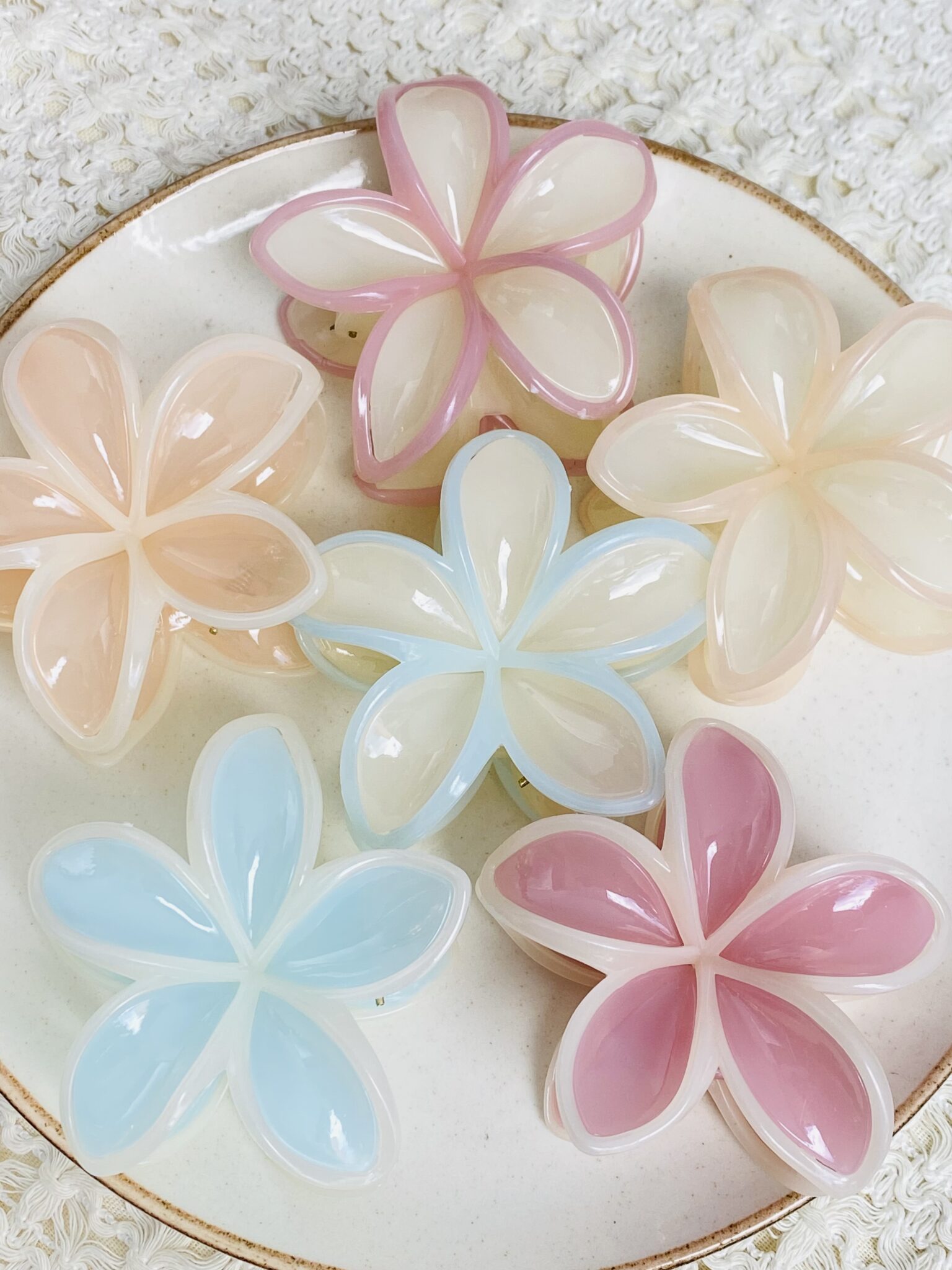 CAIMÁN FLOR MAGNOLIA DULCE