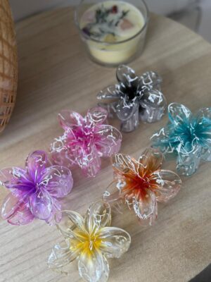 CAIMÁN HAWÁII CRISTAL COLORES