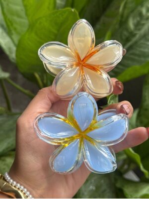 CAIMÁN HAWÁI OCEAN